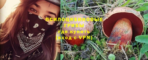 Альфа ПВП Богородск