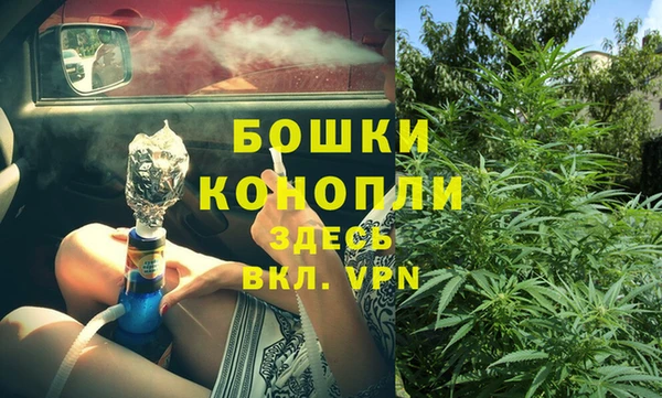 винт Бородино