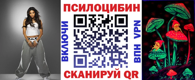 Псилоцибиновые грибы Psilocybe  Суворов 